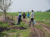 Obrázek v galerii